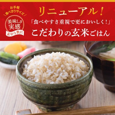 こだわり玄米ごはん120g×36個