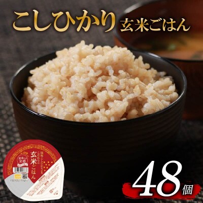 こだわり玄米ごはん120g×48個