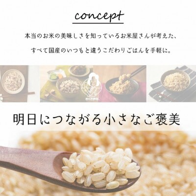 雑穀ごはんアソートセット2種　160g×12個(発芽玄米ごはん・十六雑穀ごはん 各6個)