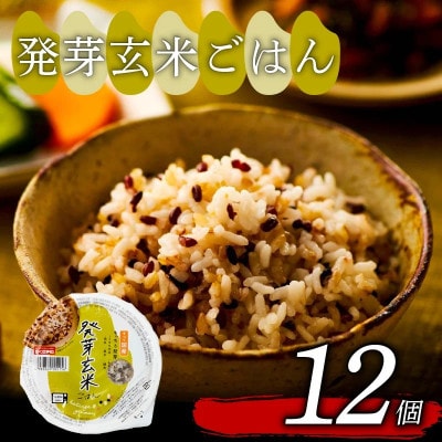 ご飯パック 発芽玄米ごはん 160g×12個