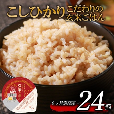 【毎月定期便】こだわり玄米ごはん 120g×24個 電子レンジで温めるだけのパックご飯全6回
