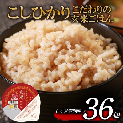 【毎月定期便】こだわり玄米ごはん 120g×36個 電子レンジで温めるだけのパックご飯全6回