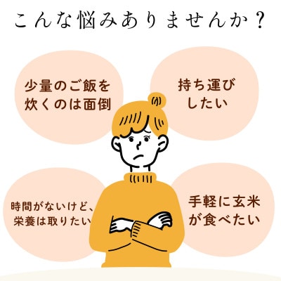 【毎月定期便】こだわり玄米ごはん 120g×36個 電子レンジで温めるだけのパックご飯全6回