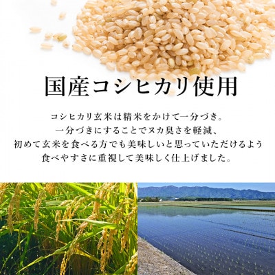 【毎月定期便】こだわり玄米ごはん 120g×36個 電子レンジで温めるだけのパックご飯全6回