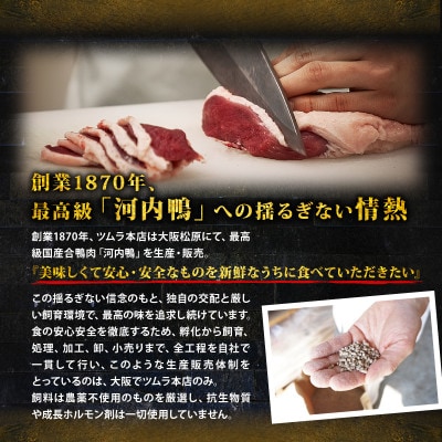 大阪・松原 ツムラ本店 河内鴨もも肉 500g