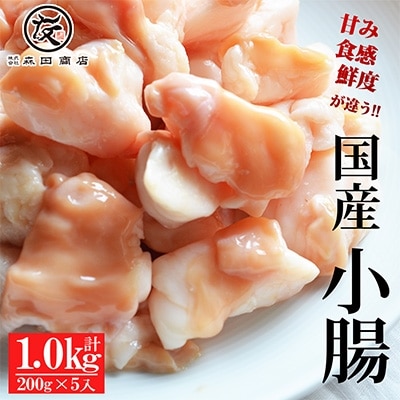 【創業99年老舗食肉加工卸厳選】国産小腸 1kg(200g×5)【急速冷凍・真空パック】