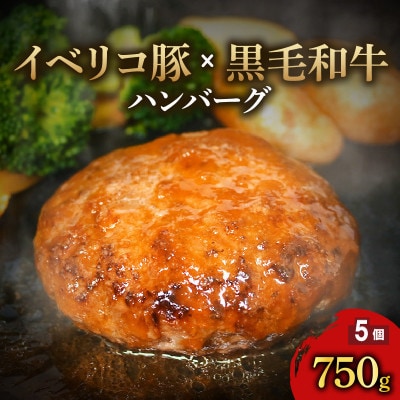 イベリコ豚 黒毛和牛 合いびきハンバーグ 150g×5個