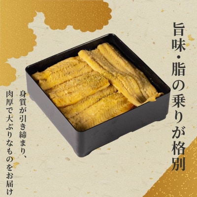 玄品 訳あり 国産 天然煮穴子 300g 長崎県対馬産 肉厚あなご 特製醤油だれ 冷凍 大阪府松原市