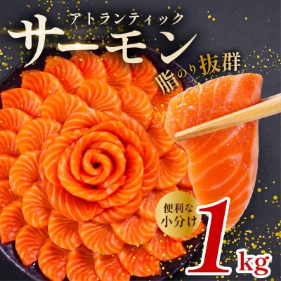 アトランティックサーモン 約1kg 小分けの海鮮