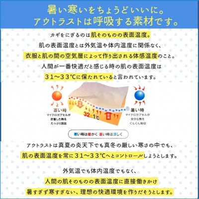 サーモコントロール温度調整機能枕　側サイズ35×50