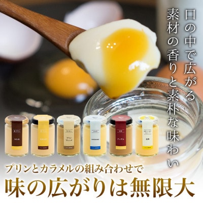 プリン研究所おすすめプリンセット6種×ソース12種