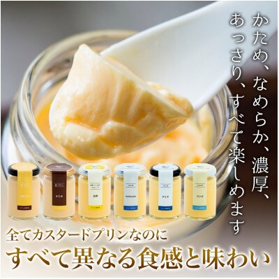 シンプルプリンセット6種×ソース全12種×2セット
