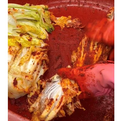 【漬けたて新鮮!】特製白菜キムチ 中辛 自家製ヤンニョンジャン使用 1kg(小分け500g×2袋)