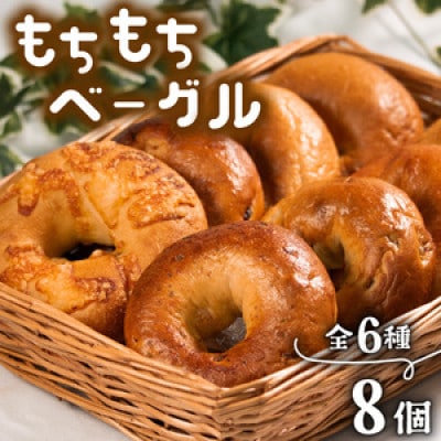 ベーグル6種セット 8個