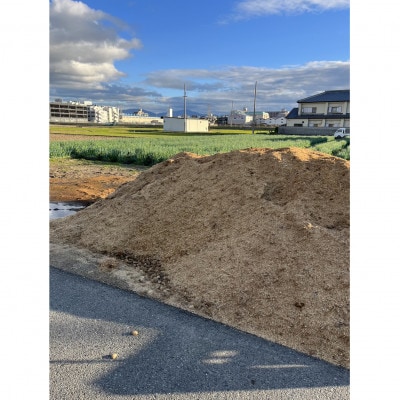令和5年産　大阪産にこまる　3キロ　難波葱付き