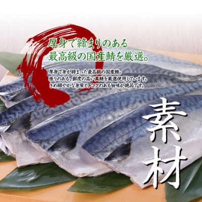 柿の葉すし 24個 冷凍 ( 炙り鯖 鮭 穴子 )