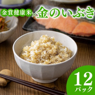 ご飯パック 金賞健康米 金のいぶき 120g×12個入り 国産 レンチン