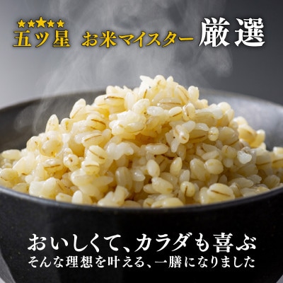 ご飯パック 金賞健康米 金のいぶき 120g×12個入り 国産 レンチン