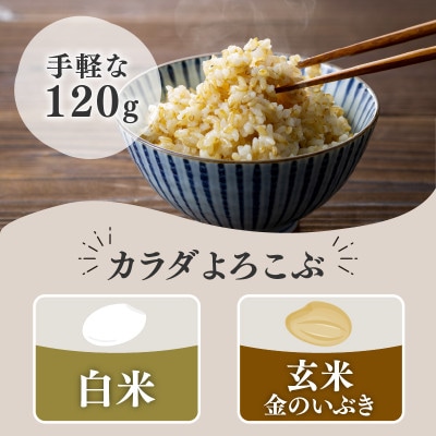 ご飯パック 金賞健康米 金のいぶき 120g×12個入り 国産 レンチン