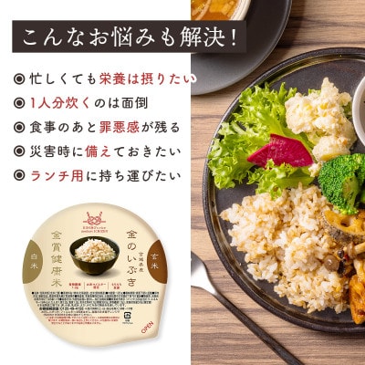 ご飯パック 金賞健康米 金のいぶき 120g×12個入り 国産 レンチン