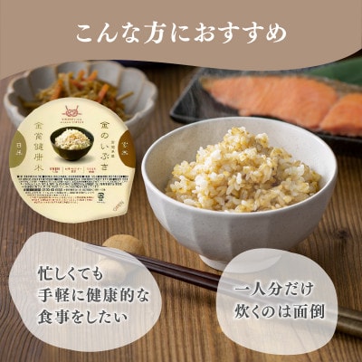 ご飯パック 金賞健康米 金のいぶき 120g×12個入り 国産 レンチン