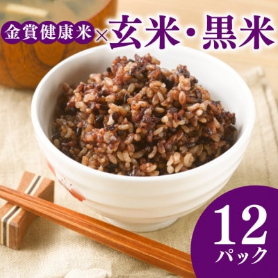 ご飯パック 金賞健康米 玄米・黒米 120g×12個入り 国産 レンチン
