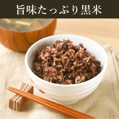 ご飯パック 金賞健康米 玄米・黒米 120g×12個入り 国産 レンチン