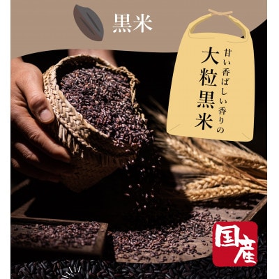 ご飯パック 金賞健康米 玄米・黒米 120g×12個入り 国産 レンチン