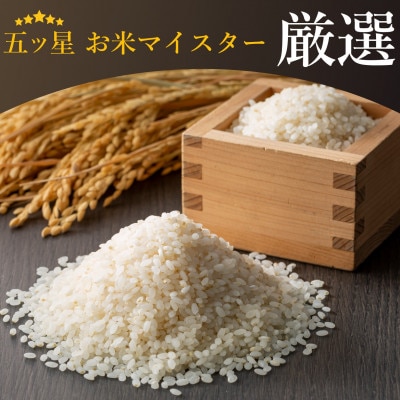 ご飯パック 金賞健康米 玄米・黒米 120g×12個入り 国産 レンチン