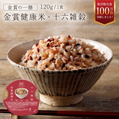 ご飯パック 金賞健康米 十六雑穀米 120g×12個入り 国産 レンチン