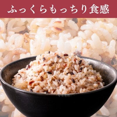 ご飯パック 金賞健康米 十六雑穀米 120g×12個入り 国産 レンチン