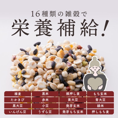 ご飯パック 金賞健康米 十六雑穀米 120g×12個入り 国産 レンチン