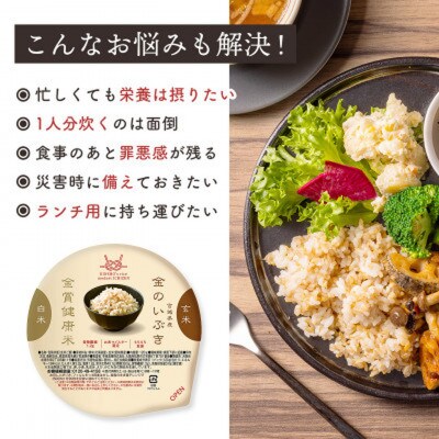 ご飯パック 金賞健康米 金のいぶき 120g×24個入り 国産 レンチン