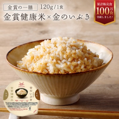 ご飯パック 金賞健康米 金のいぶき 120g×60個入り 国産 レンチン