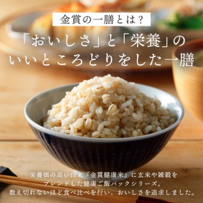 ご飯パック 金賞健康米 キラリモチ 120g×48個入り 国産 レンチン