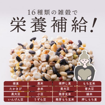 ご飯パック 金賞健康米 十六雑穀米 120g×48個入り 国産 レンチン