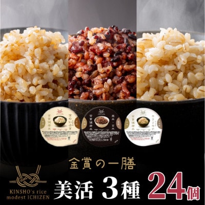 ご飯パック 金賞健康米 美活3種食べ比べセット 24個