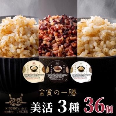 ご飯パック 金賞健康米 美活3種食べ比べセット 36個