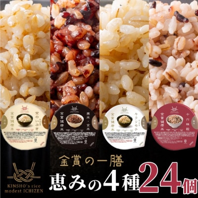 ご飯パック 金賞健康米 恵みの4種セット(玄米・雑穀) 24個