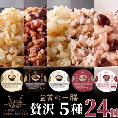ご飯パック 金賞健康米 贅沢5種セット(玄米・雑穀) 24個