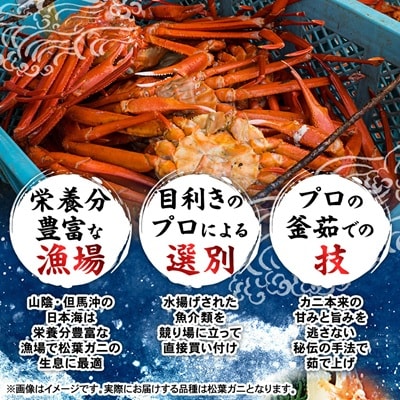 兵庫県香住産　釜茹で松葉ガニ