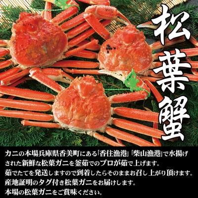 兵庫県香住産 特選釜茹で松葉ガニ〈冷凍発送〉【11月中旬以降発送】