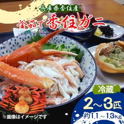 兵庫県香住産　釜茹で香住ガニ(紅ズワイガニ)2～3匹入り(約1.1～1.3kg)【9月中旬以降発送】
