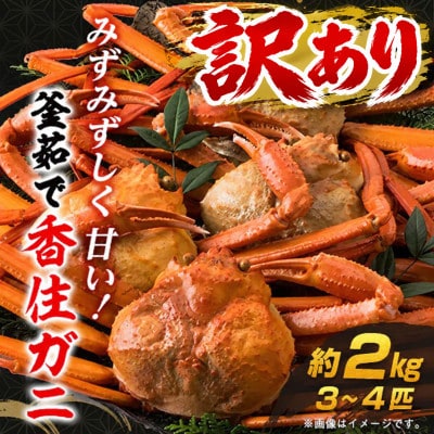訳あり 兵庫県香住産 釜茹で香住ガニ(紅ズワイガニ)3～4匹入(約2kg)