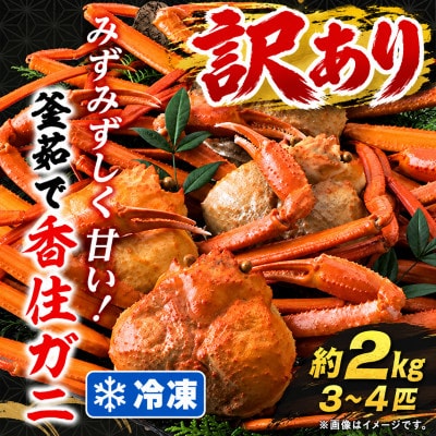 訳あり 兵庫県香住産 釜茹で香住ガニ(紅ズワイガニ)3～4匹入(約2kg) 冷凍