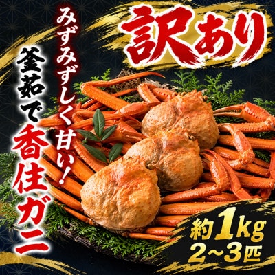 訳あり 兵庫県香住産 釜茹で香住ガニ(紅ズワイガニ)2～3匹入(約1kg)