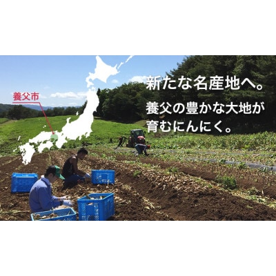 ナカバヤシのにんにく加工品セット