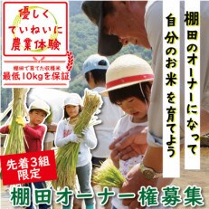 【3組限定】養父市大屋町加保の棚田 棚田オーナー権(2024年収穫分)