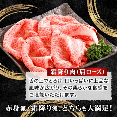 【但馬牛】すき焼き 赤身&霜降り 特選セット500g