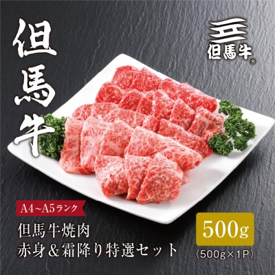 【但馬牛】焼肉 赤身&霜降り 特選セット500g